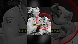 Rapero Fastidia A La Novia De Un Peleador Ruso