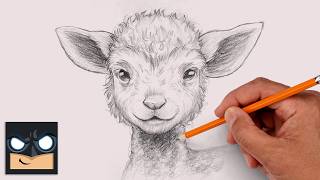 how draw lamb sketch saturday