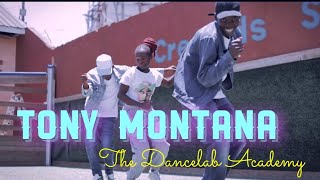 Skepta & Portable Tony Montana ( Official Dance Video ) Choreography by the dancelab