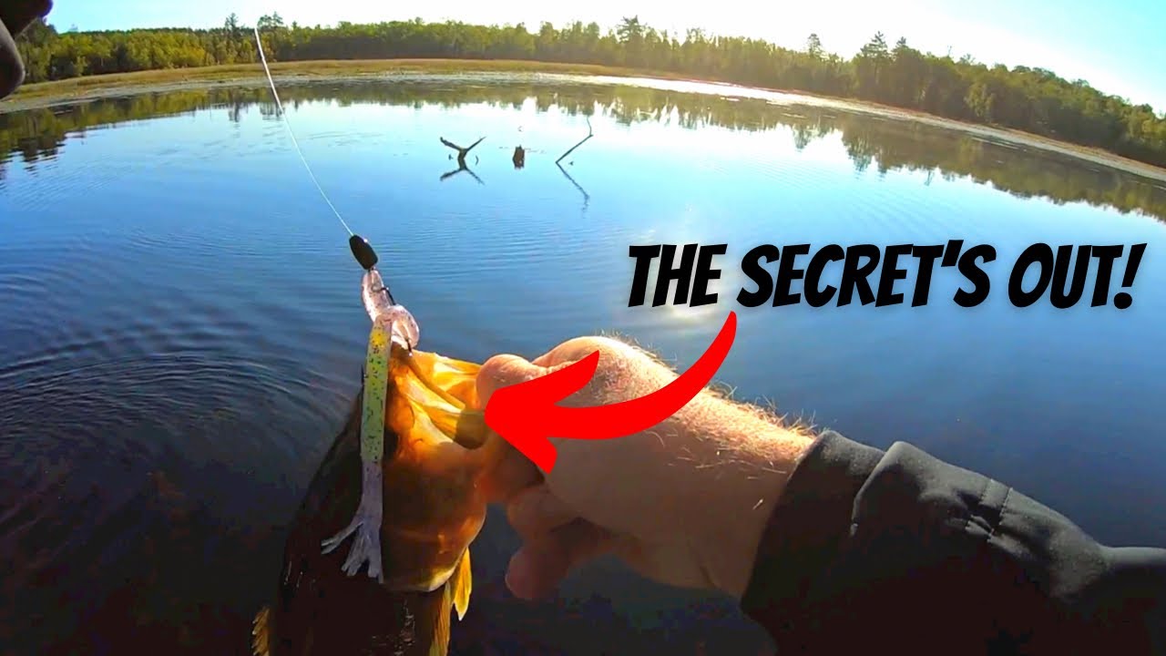 The Tube Fishing Trick Nobody Knows! This Really Is The Deal!! 