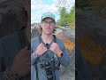 Fall Macro Photography In 🍁 Tips, Gear & Stunning Macro 4K Video