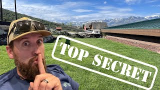MOST don’t know the  secret to dark green grass NOW.