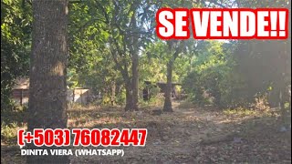 Casi 3 Precios Lotes En Calle Principal 540 Mts. Entre Aguilares Y Suchitoto