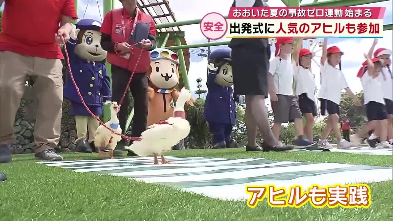 Ducks and Preschoolers Practice 