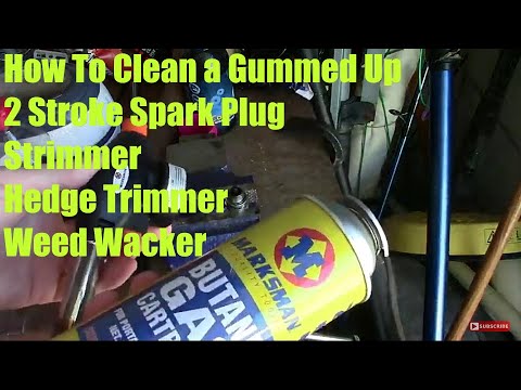 Video: Bagaimana cara membersihkan busi whipper snipper?