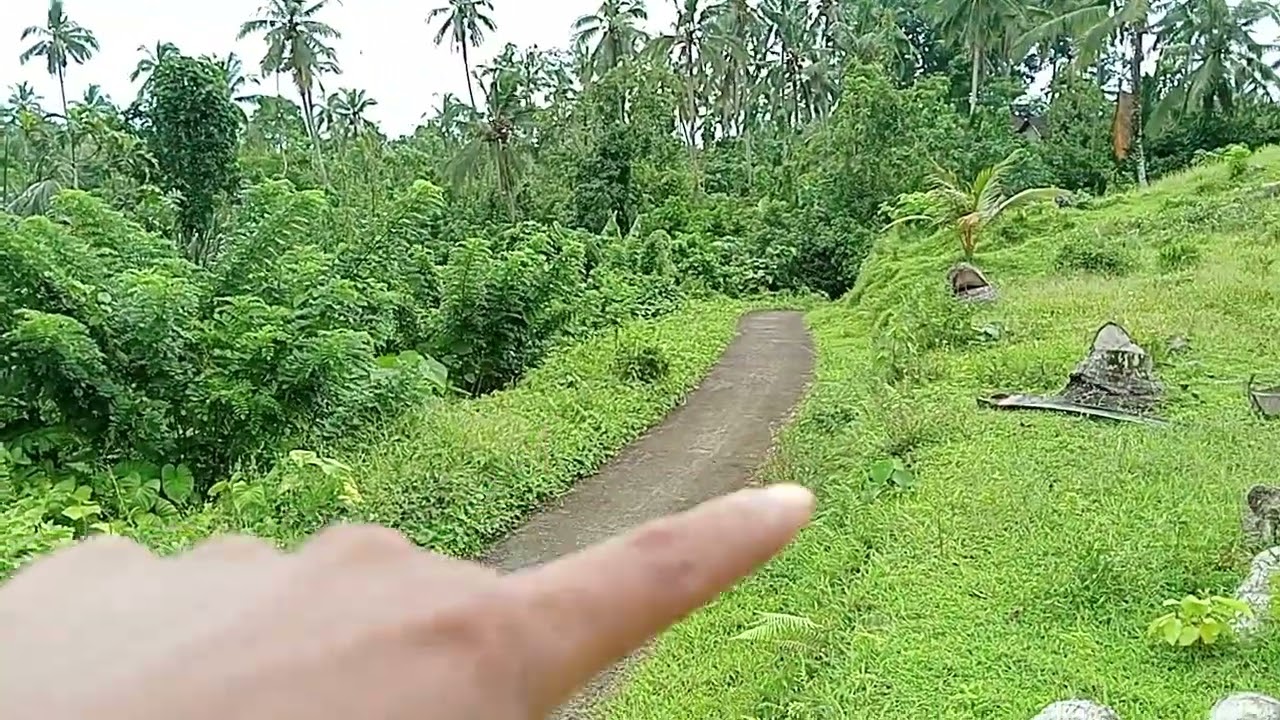 DIJUAL LAHAN MURAH COCOK UNTUK PERKEBUNAN ATAU AGROWISATA DENGAN LUAS 11.150M² / 1 HEKTAR #forsale 