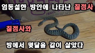 There is a house that people cannot live in because of the snake, Chiljeomsa,