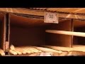 How its made  drumsticks