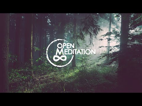 Wyjazd medytacyjny Insight, Open Meditation