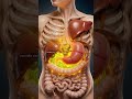 Amazing Benefits of Ginger for Your Health | 3D Animation | What Happens When You Eat Ginger Daily