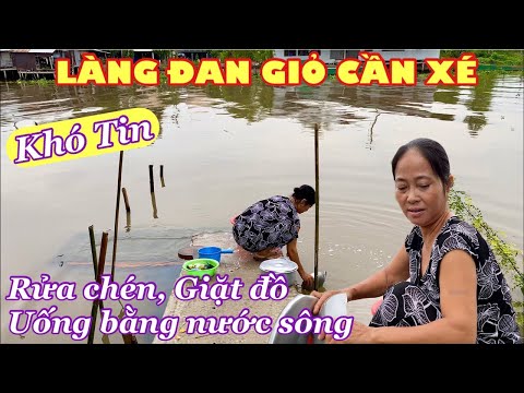 Video: Nước Dùng Có Tai