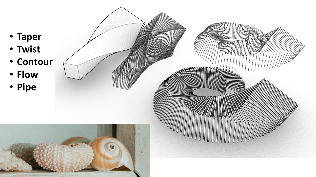 Rhino 3D: Spiral-Tunnel Design with a Seashell Concept