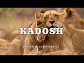 Prophetic Worship Music -KADOSH Intercession Prayer Instrumental