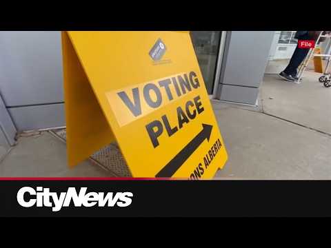 High volume of mail-in ballots not expected to hold up referendum vote counting: Elections AB