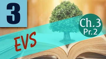 Class 3 |  Est Chapter  3 : Rocks and soil Part  2 | 15 May 2020