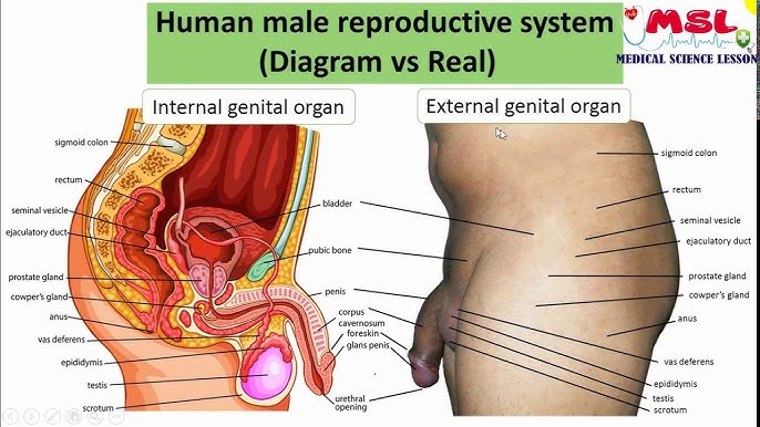 Birovning eshagiga urilgan narsalar videosi Seks porno yigit qiz dostini dostiga beradi