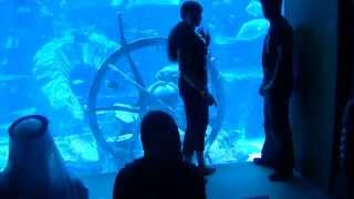 Dubai - Atlantis.avi