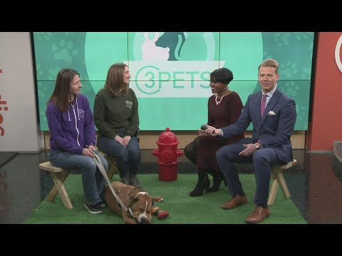 Ready Pet Go! Cleveland APL visits with precious dog up for adoption