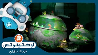 أوكتونوتس | 🦑  لغز الأخطبوط 🔍 | السلسلة 4 | الحلقة 5