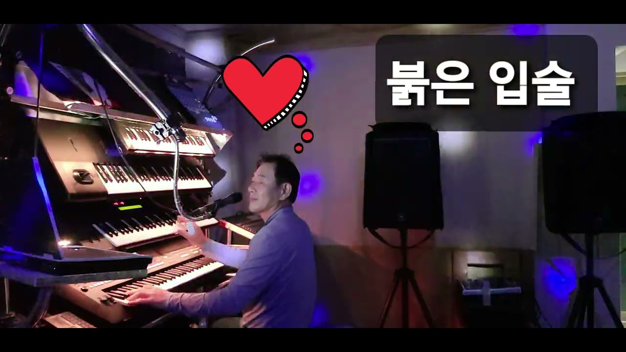 붉은 입술  금손 라이브 (디스코버전)