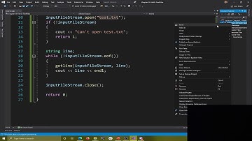 CIS 2252 - Object Oriented Programming ( C++ ) - Text File IO