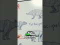 Evolution's Flaw: Origin of Life Problem Solved? #shorts