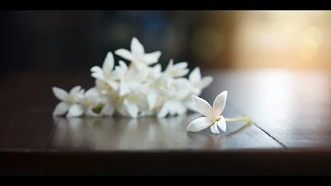 Love is Having to Say that You are Sorry: || Dr. M...
