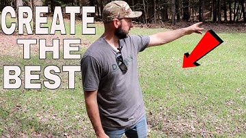 Create The Perfect Woods Food plot STEP BY STEP!