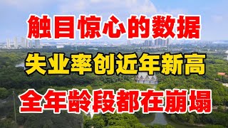 触目惊心的数据，失业率创近年新高，全年龄段都在崩塌！付鹏直言和日本很像，年轻人可能会成为失去的一代人！