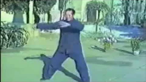 Tian Xiu Chen - Tai Chi style Chen Xinjia Yilu [ T...