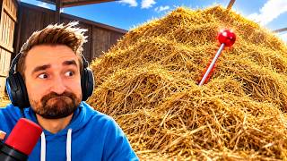 Literally Looking For A Needle In A Haystack