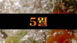 [EBS] 2026년 5월 다큐멘터리 프로그램 안내 | SB