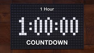 1 HOUR TIMER ⏰ [Handmade pixel art satisfying countdown]