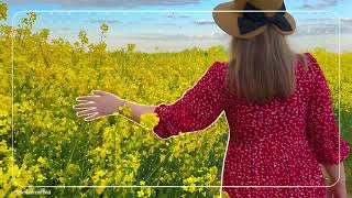 En Oled-Exklusiv Α11-Processor