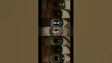 بالنهاية بتهون بيغ سام Bigsam اكسبلور ستوريات 
