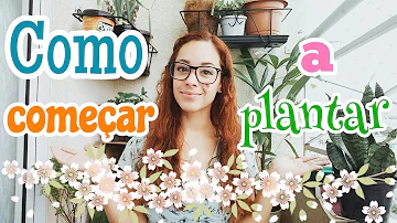 O que comprar para começar a plantar?
