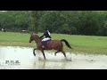 Samantha sibley  rio de aarabella at texas rose horse trials may 2021