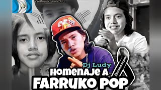 Homenaje A Farruko Pop (Q.E.P.D) • MiniMix (la chona, la iguana y el tacuazin) - Dj Ludy • GTR502