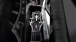 Hagstrom Swedie Carvin SD22 pickup #guitar #viral