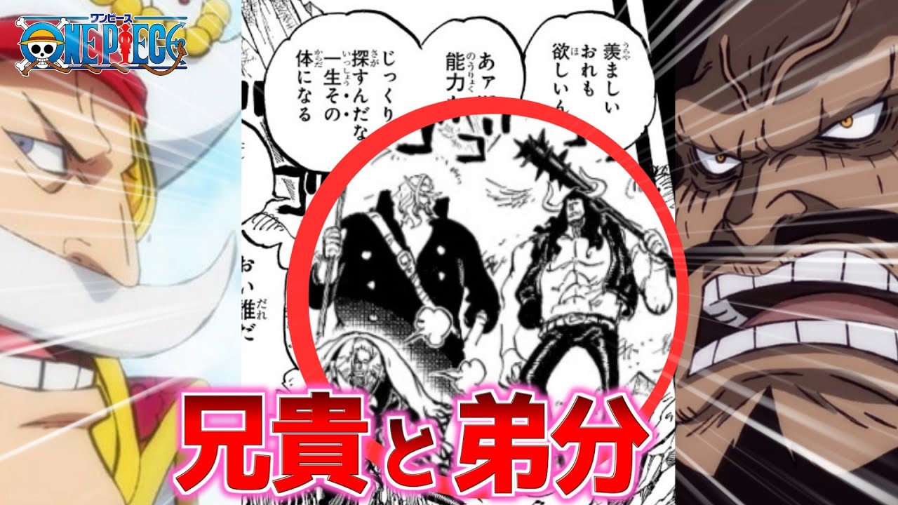 ONE PIECE】白ひげとカイドウは”仲良し”だった⁉︎ ロックス海賊団時代