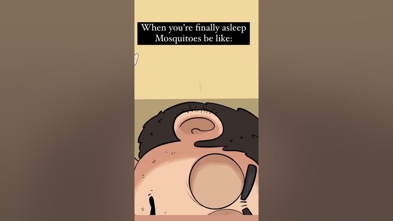 Mosquito singing 🤣😂