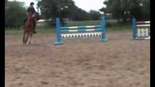 Ollie cantering in a lesson II