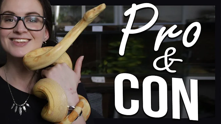 PROS & CONS : Having snakes as pets