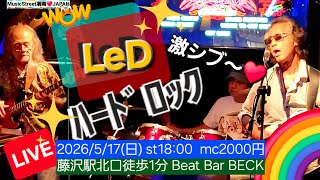 LeD　2026/4/26　藤沢市　 Beat Bar BECK　ベックロックナイト