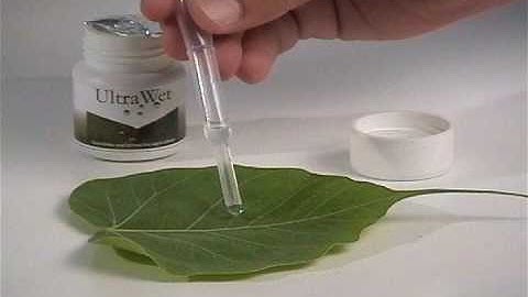 High Performance Agri Surfactant or wetting agent