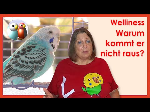 Video: Warum sind Sicherheitsregeln für Tierzüchter wichtig?