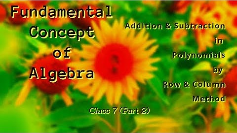 Fundamental Concepts | Addition & Subtraction in Polynomials by Row & Column Method | Part 2