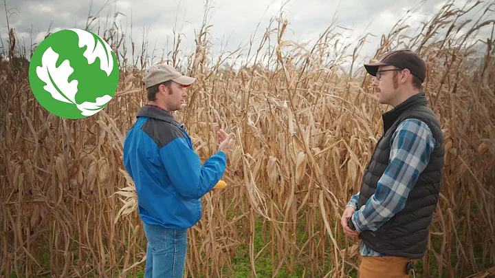 Farmers in a Changing Climate