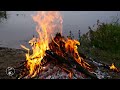 Bonfire in nature by the river 4k relax  campfire crackling