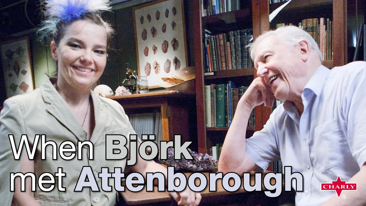 Björk and David Attenborough - When Björk Met Attenborough